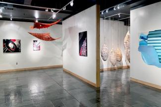 "Magical Spaces, Familiar Places" exhibition, 2019