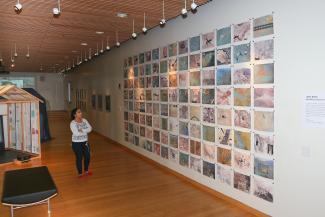 Woman peruses gallery wall