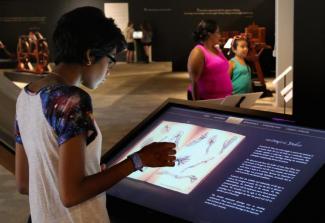 Student views digital display