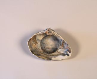 Center of the Universe , 2017-2026   Graphite on seashells   