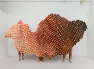 Continua Blanket